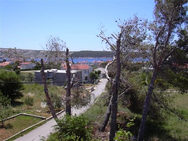 Datei:Barbat5.jpg