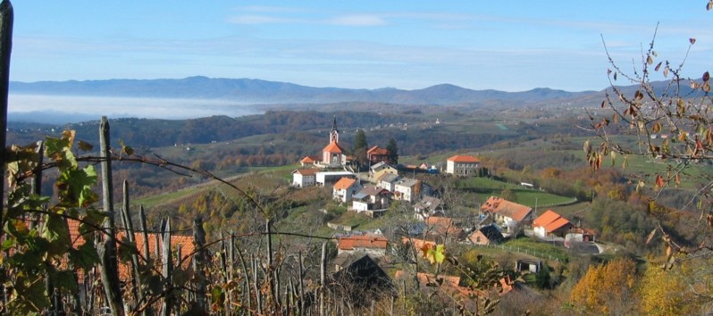 VIVODINA in automn.jpg