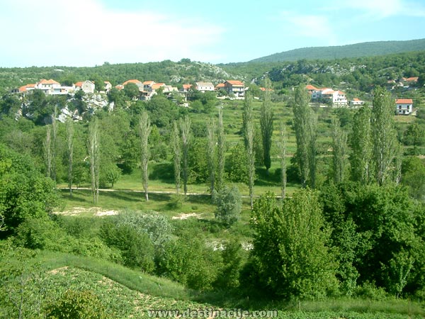 Datei:Blato Na Cetini.jpg