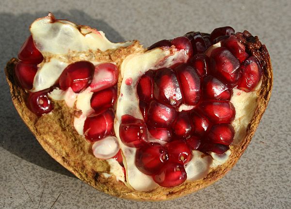 Datei:Granatapfel innen Kopie.jpg