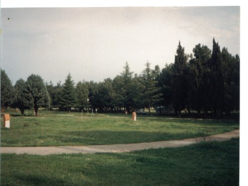 Datei:Puntizela7.jpg