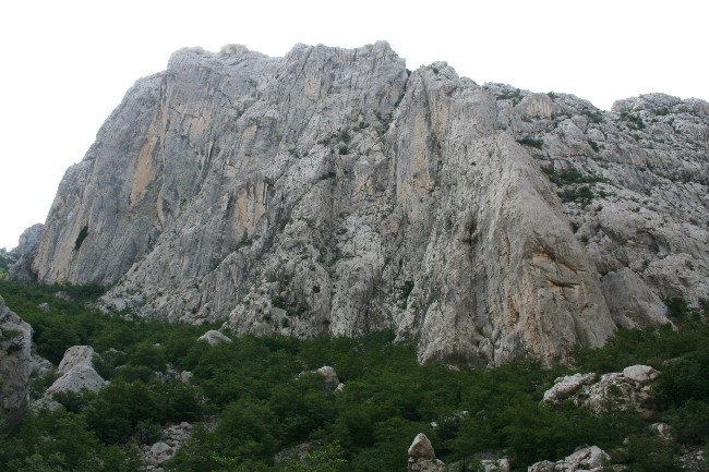 Datei:XAnica Kuk.jpg
