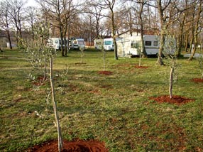 Datei:Krnica.jpg