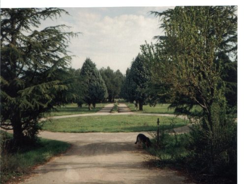 Datei:Puntizela8.jpg