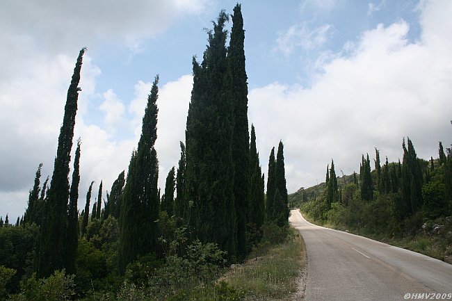 Datei:MIKULICI 2009IMG 2774.jpg