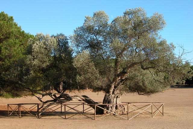Datei:Bri009.jpg