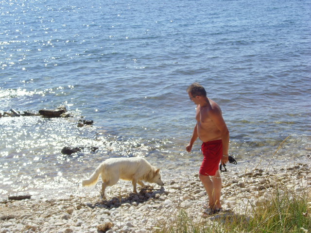 Datei:Hundestrand in Umag 033.jpg