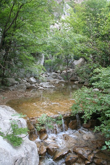 Datei:XBach.jpg