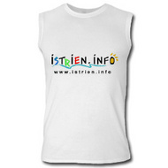 Datei:Shirt12.jpg