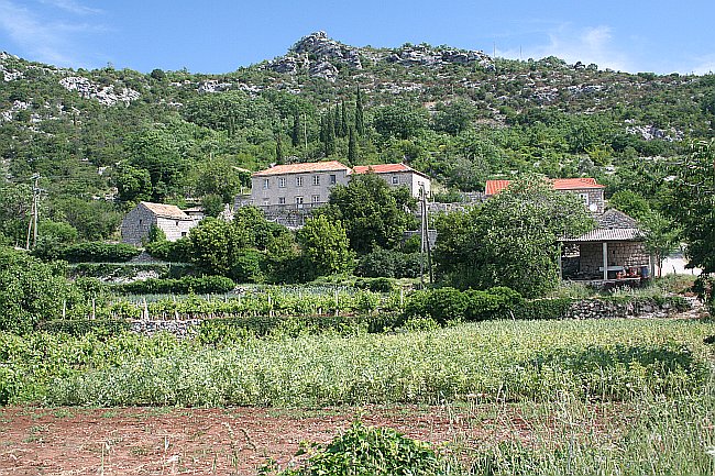 Datei:BROTNICE 005 2009IMG 2550.jpg