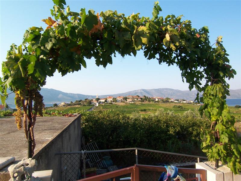 Datei:Korcula Lumbarda 21.08.2008 015 (Custom).jpg