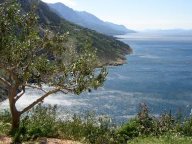 Das Bild des Jahres 2006 zeigt einen Küstenabschnitt der Makarska Riviera - © ELMA