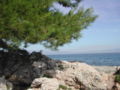 DSCN3888.jpg